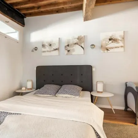 Au coeur de la vieille ville Annecy Extérieur photo